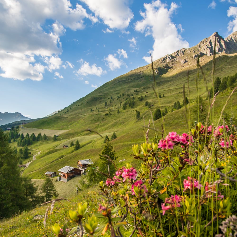 Direttamente in montagna