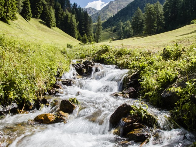 Fishing South Tyrol