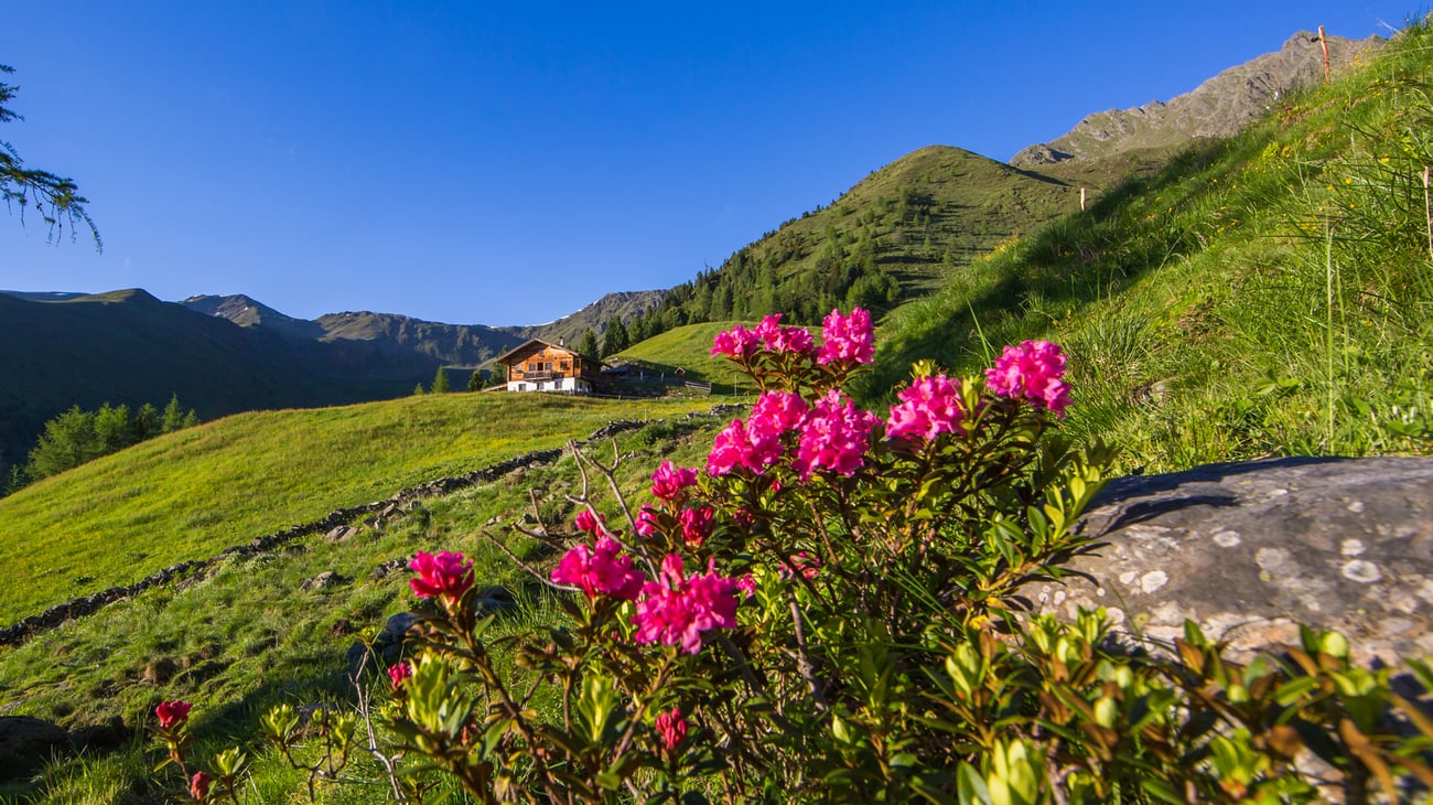 Sentiero delle malghe